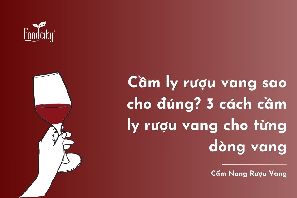 Hướng dẫn 3 cách cầm ly rượu vang chuẩn chuyên gia tại các bữa tiệc