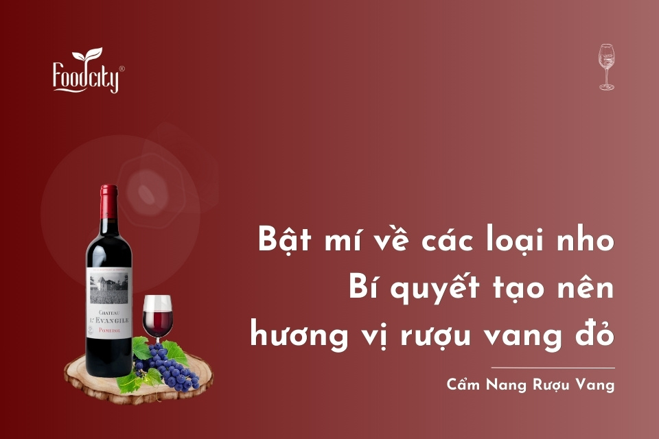 Bật mí về các loại nho - Bí quyết tạo nên hương vị rượu vang đỏ