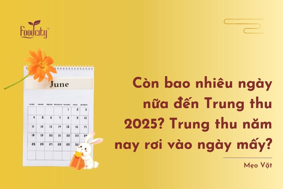 Còn bao nhiêu ngày nữa đến Trung thu 2025? Trung thu năm nay rơi vào ngày mấy? Còn bao nhiêu ngày nữa đến Trung thu 2025? Trung thu năm nay rơi vào ngày mấy?