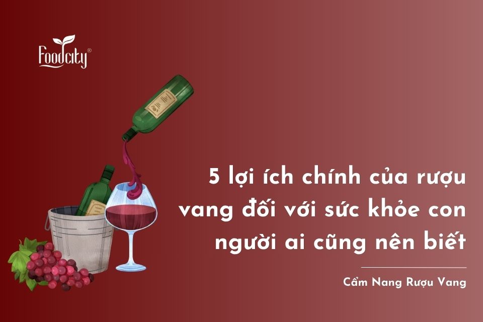 5 lợi ích chính của rượu vang đối với sức khỏe con người ai cũng nên biết