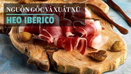 Tìm hiểu nguồn gốc và xuất xứ heo Iberico