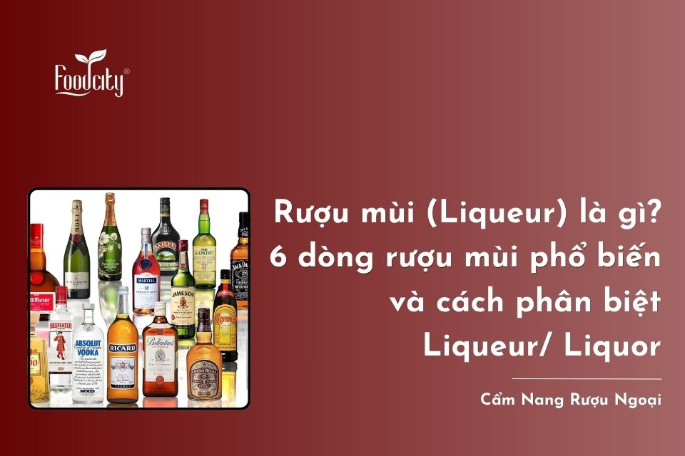 Rượu mùi (Liqueur) là gì? 6 dòng rượu mùi phổ biến và cách phân biệt Liqueur/ Liquor Rượu mùi (Liqueur) là gì? 6 dòng rượu mùi phổ biến và cách phân biệt Liqueur/ Liquor