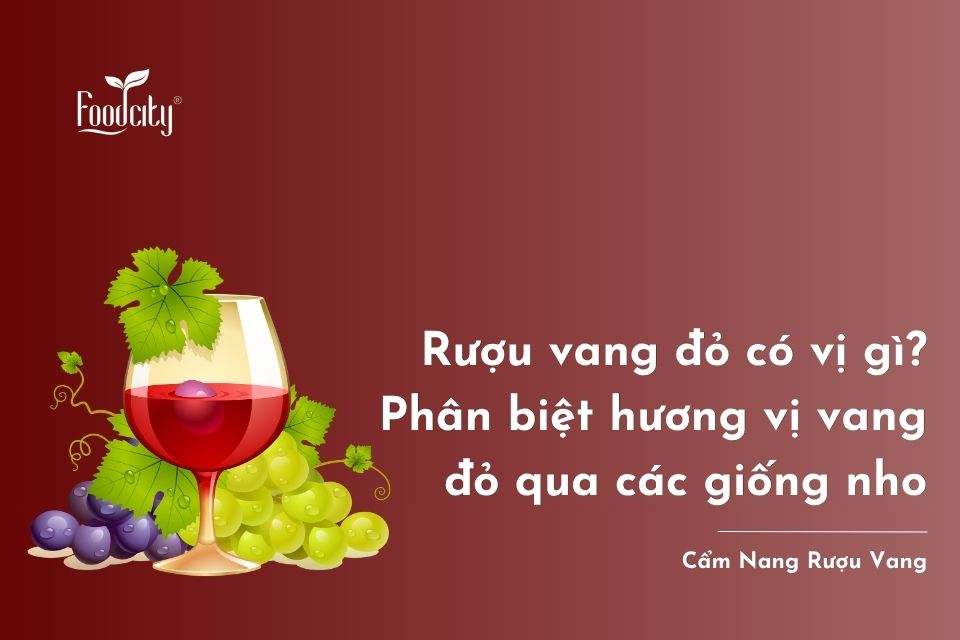 Rượu vang đỏ có vị gì? Phân biệt hương vị vang đỏ qua các giống nho