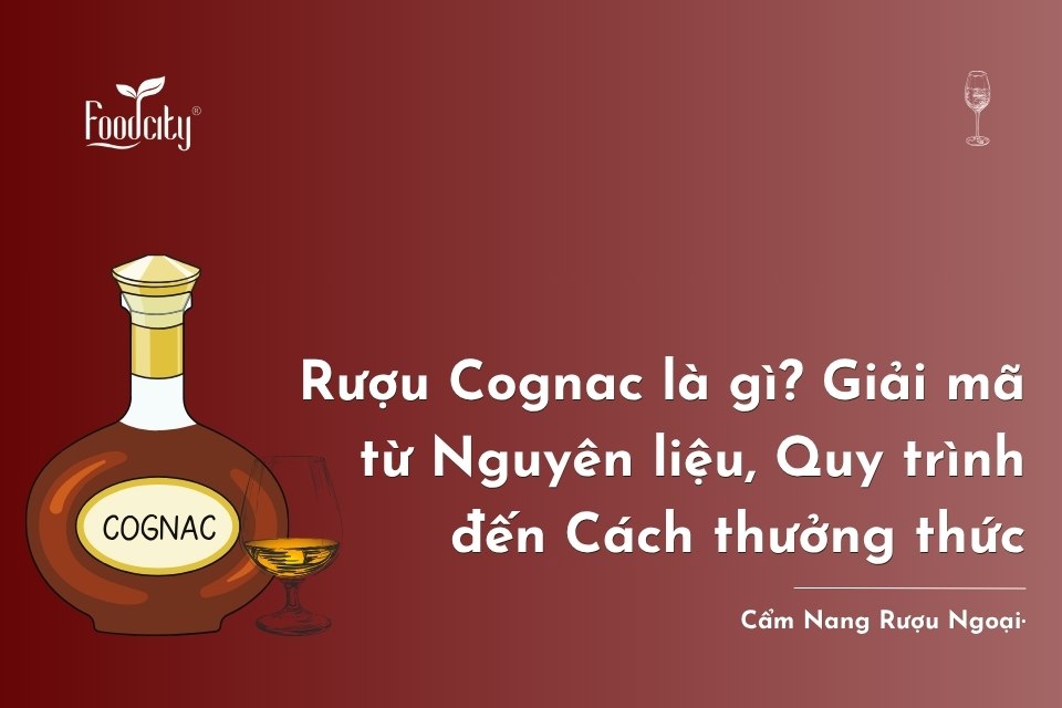 Rượu Cognac là gì? Giải mã từ Nguyên liệu, Quy trình đến Cách thưởng thức Rượu Cognac là gì? Giải mã từ Nguyên liệu, Quy trình đến Cách thưởng thức