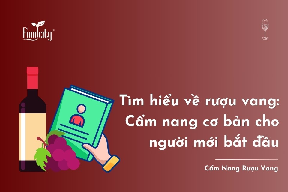 Tìm hiểu về rượu vang: Cẩm nang cơ bản cho người mới bắt đầu