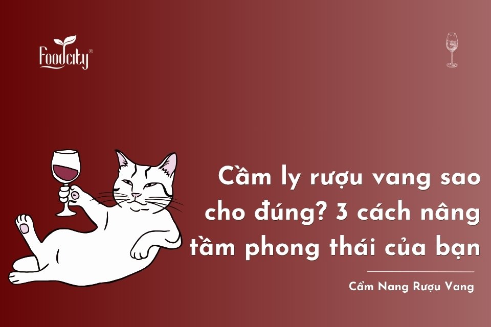 Cầm ly rượu vang sao cho đúng? 3 cách nâng tầm phong thái của bạn Cầm ly rượu vang sao cho đúng? 3 cách nâng tầm phong thái của bạn