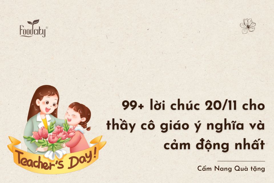 99+ lời chúc 20/11 cho thầy cô giáo ý nghĩa và cảm động nhất