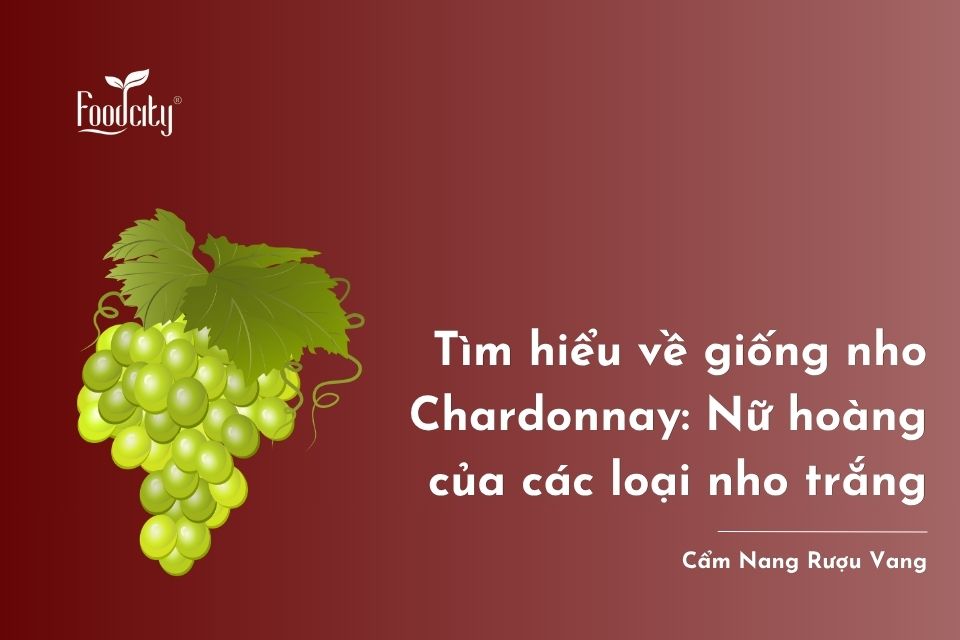 Tìm hiểu về giống nho Chardonnay: Nữ hoàng của các loại nho trắng Tìm hiểu về giống nho Chardonnay: Nữ hoàng của các loại nho trắng