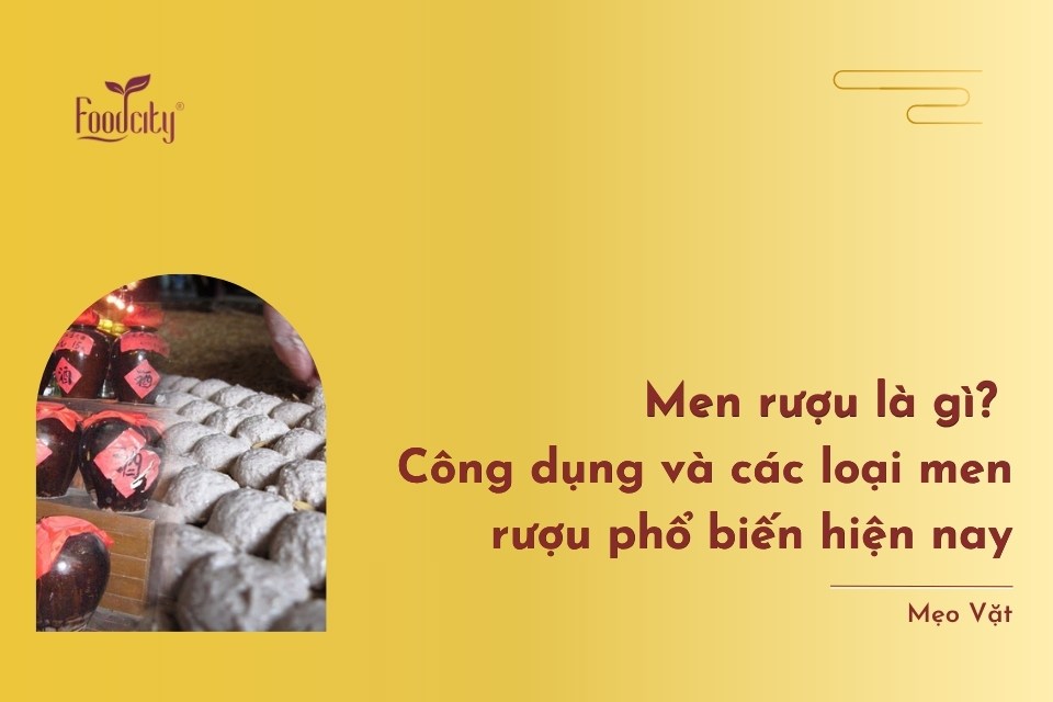 Men rượu là gì? Công dụng và các loại men rượu phổ biến hiện nay Men rượu là gì? Công dụng và các loại men rượu phổ biến hiện nay