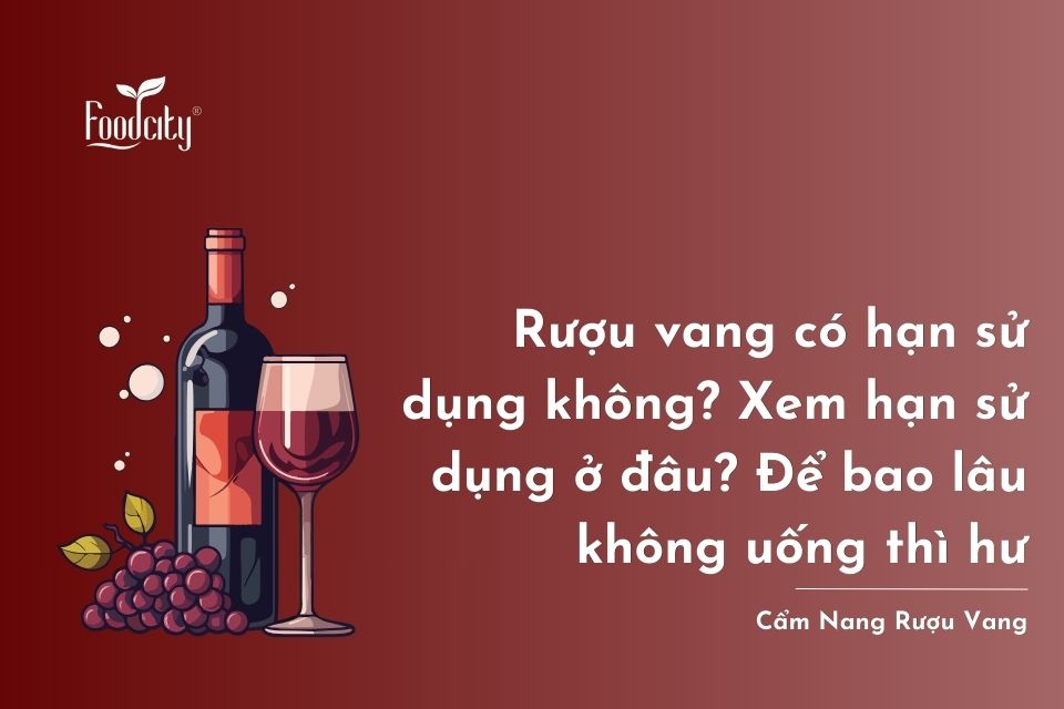 Rượu vang có hạn sử dụng không? Xem hạn sử dụng ở đâu? Để bao lâu không uống thì hư Rượu vang có hạn sử dụng không? Xem hạn sử dụng ở đâu? Để bao lâu không uống thì hư