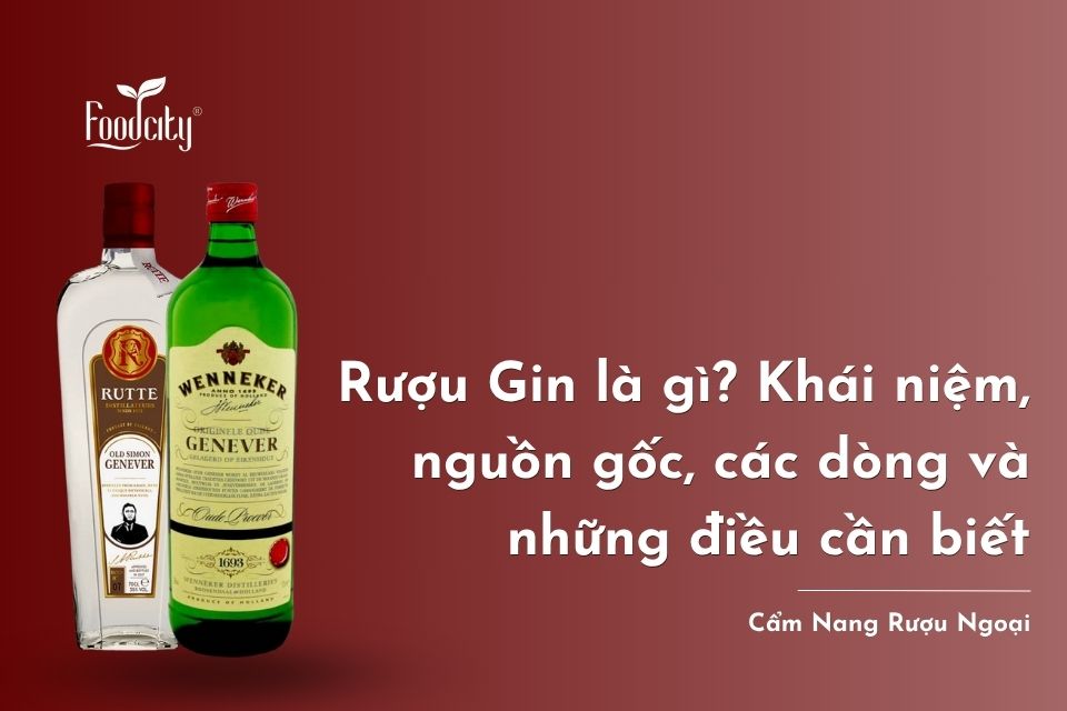 Rượu Gin là gì? Khái niệm, nguồn gốc, các dòng và những điều cần biết