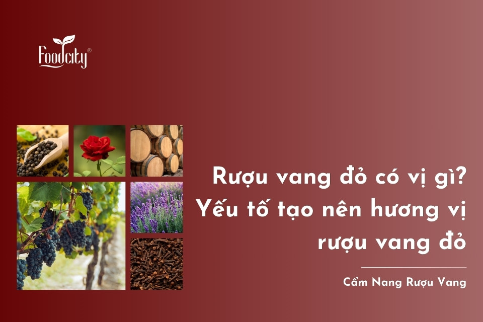 Rượu vang đỏ có vị gì? Yếu tố tạo nên hương vị rượu vang đỏ