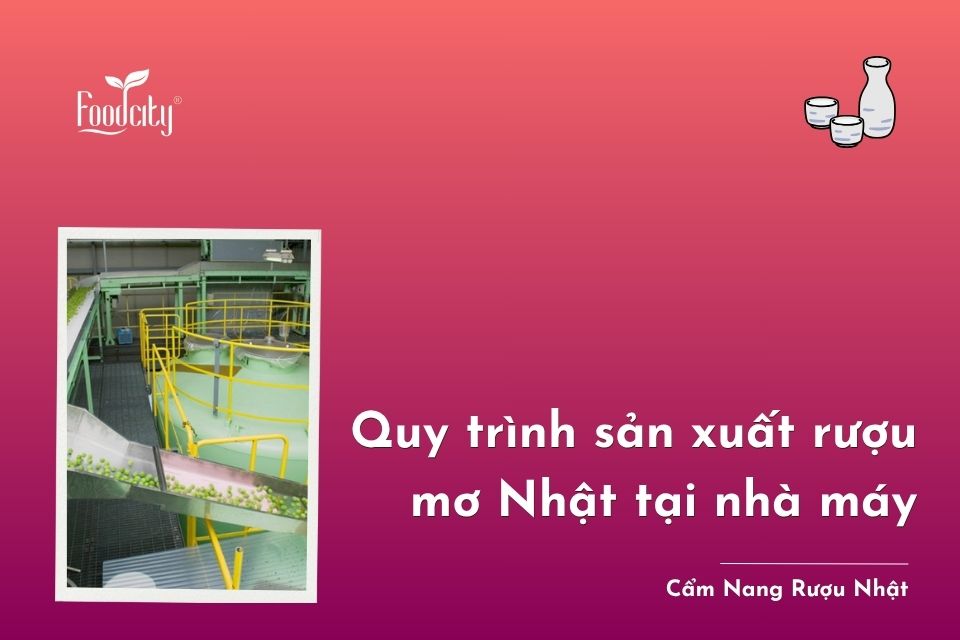 Quy trình sản xuất rượu mơ Nhật Bản tại nhà máy