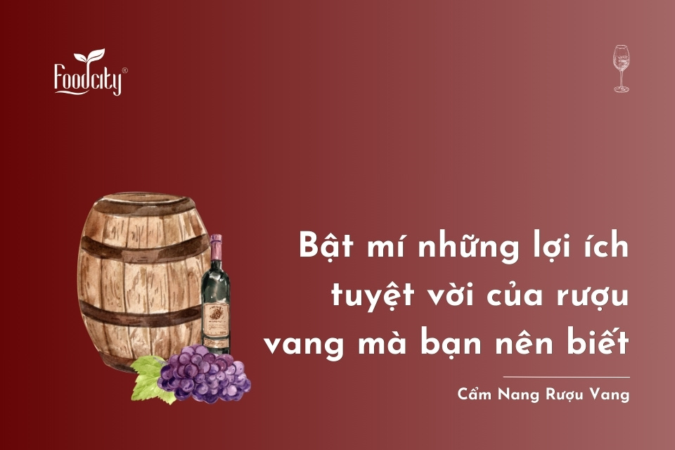 Bật mí những lợi ích tuyệt vời của rượu vang mà bạn nên biết