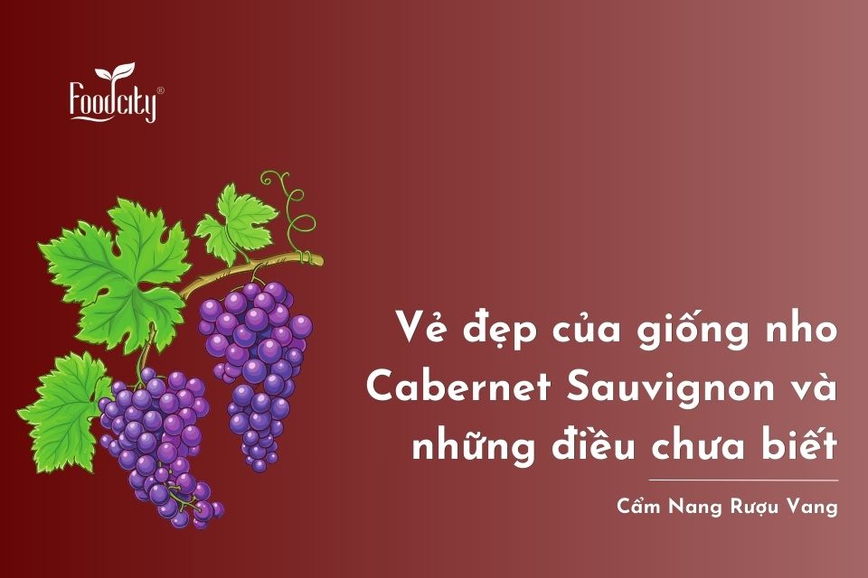 Vẻ đẹp của giống nho Cabernet Sauvignon và những điều chưa biết