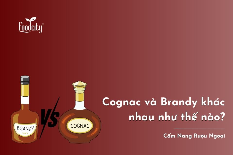 Rượu Cognac và Brandy khác nhau như thế nào? Cách phân biệt Cognac và Brandy Rượu Cognac và Brandy khác nhau như thế nào? Cách phân biệt Cognac và Brandy