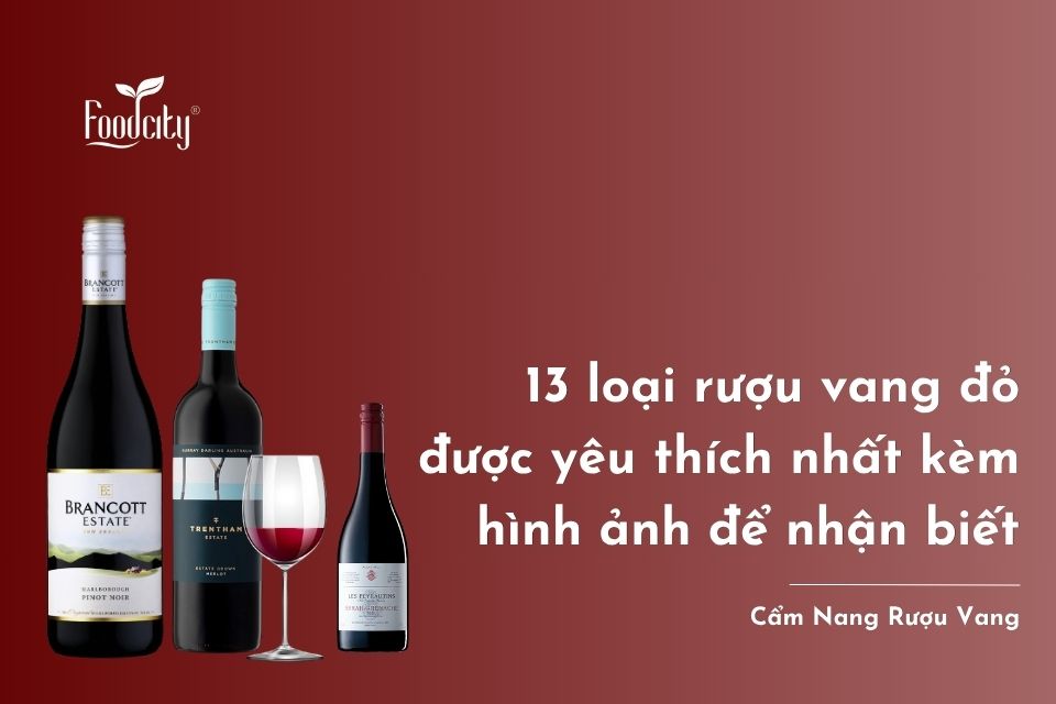 13 loại rượu vang đỏ được yêu thích nhất kèm hình ảnh để nhận biết 13 loại rượu vang đỏ được yêu thích nhất kèm hình ảnh để nhận biết