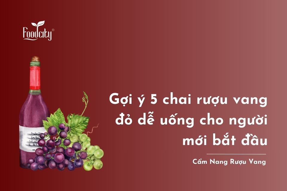 Gợi ý 5 chai rượu vang đỏ dễ uống cho người mới bắt đầu
