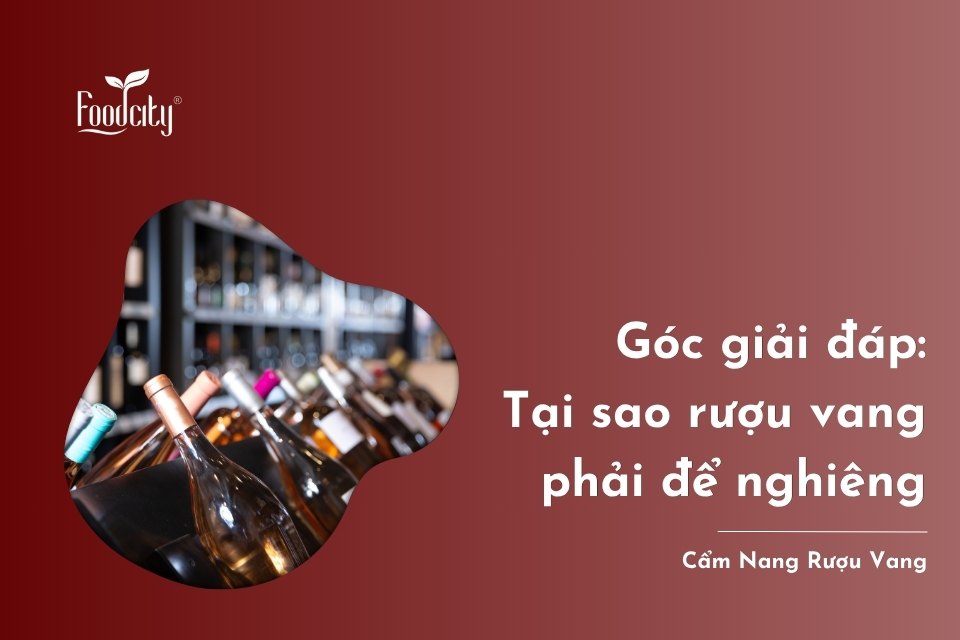 Góc giải đáp: Tại sao rượu vang phải để nghiêng Góc giải đáp: Tại sao rượu vang phải để nghiêng
