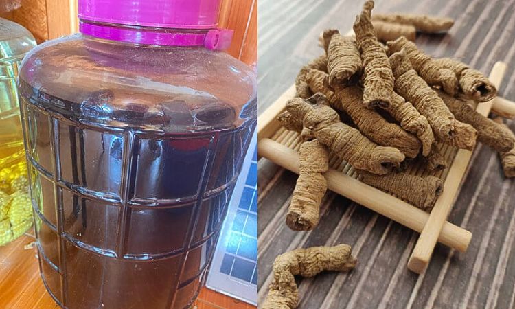 ba kích khô ngâm rượu