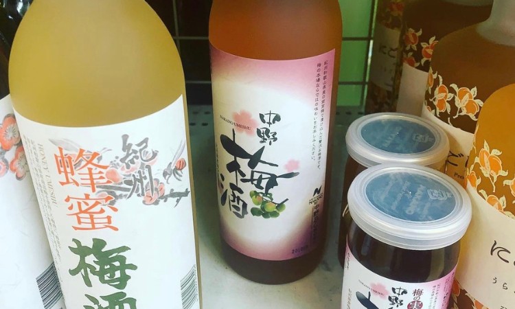bảo quản rượu mơ nhật