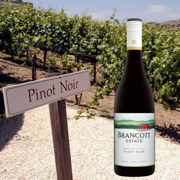brancott estate pinot noir