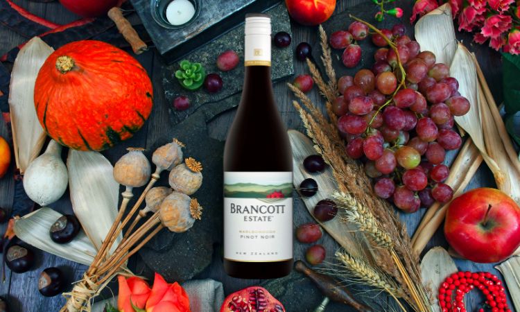 brancott estate pinot noir