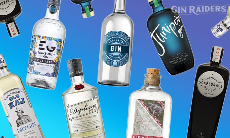 các dòng rượu gin