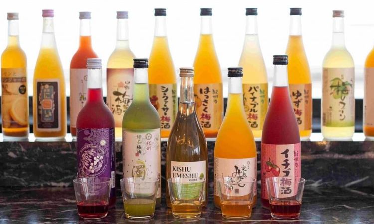 các dòng rượu mơ nhật bán tết