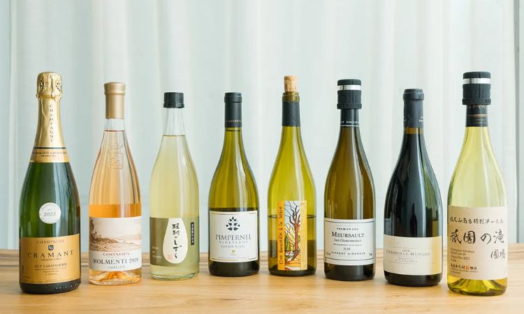 các dòng rượu vang trắng bán tết