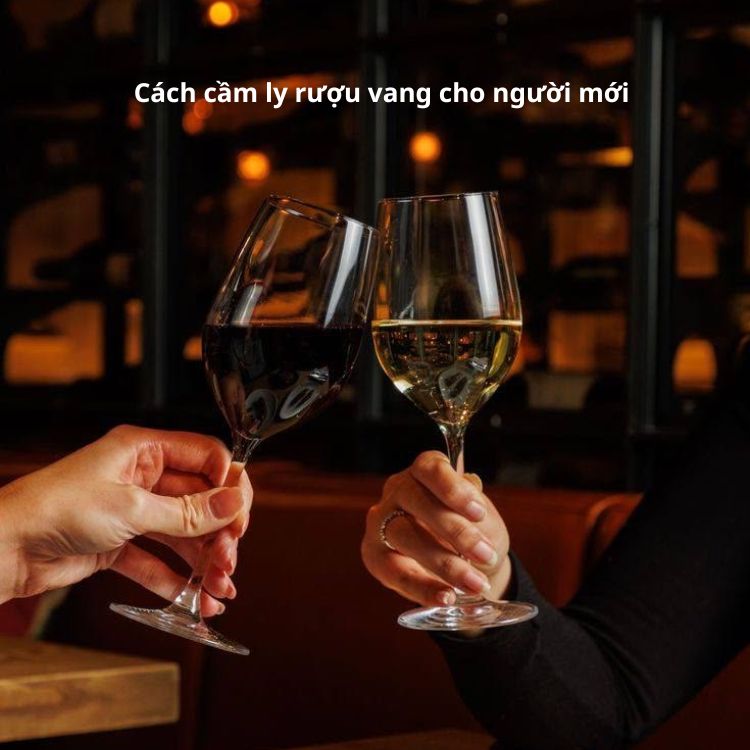 cách cầm ly rượu vang cho người mới