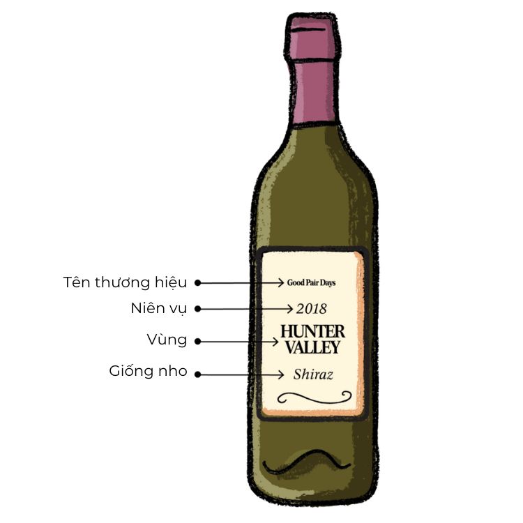 cách đọc nhãn chai rượu vang
