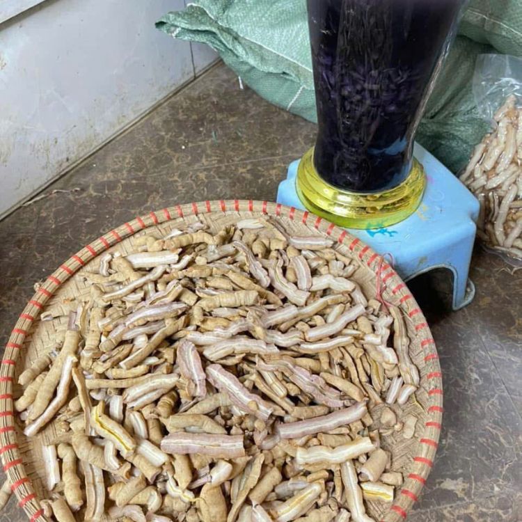 cách ngâm rượu ba kích