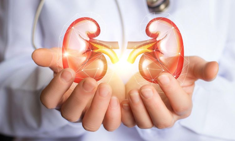 công dụng của rượu mơ ngừa sỏi thận