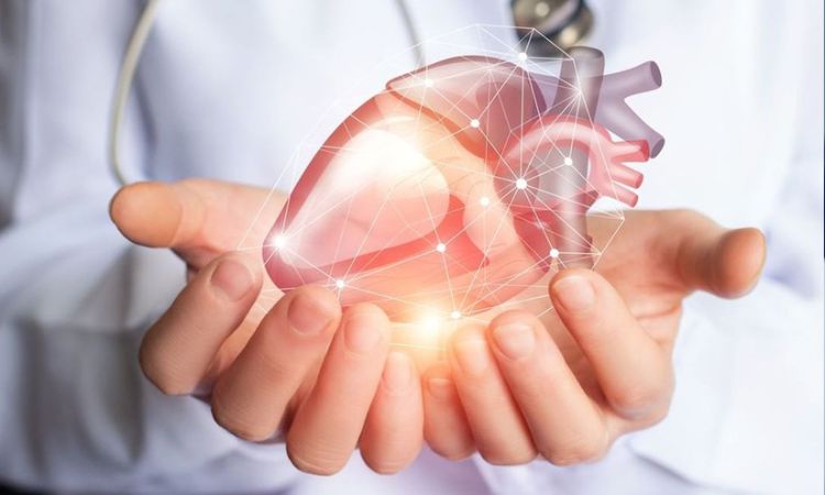 công dụng rượu vang đỏ