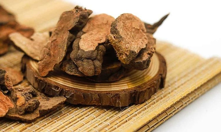 đồ ngâm rượu bằng hà thủ ô