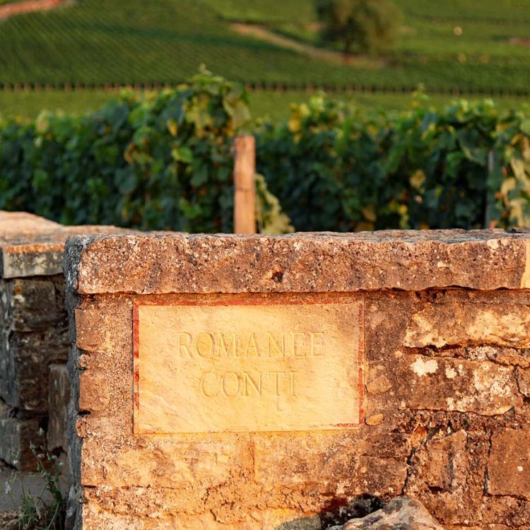 domaine conti