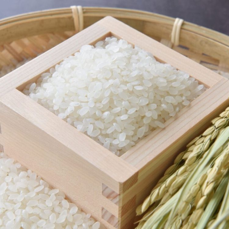 gạo sake gohya mangoku