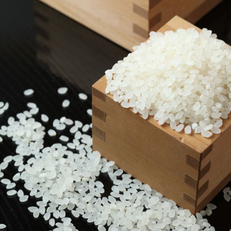 gạo sake miyama nishiki