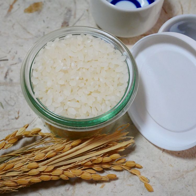 gạo sake omachi