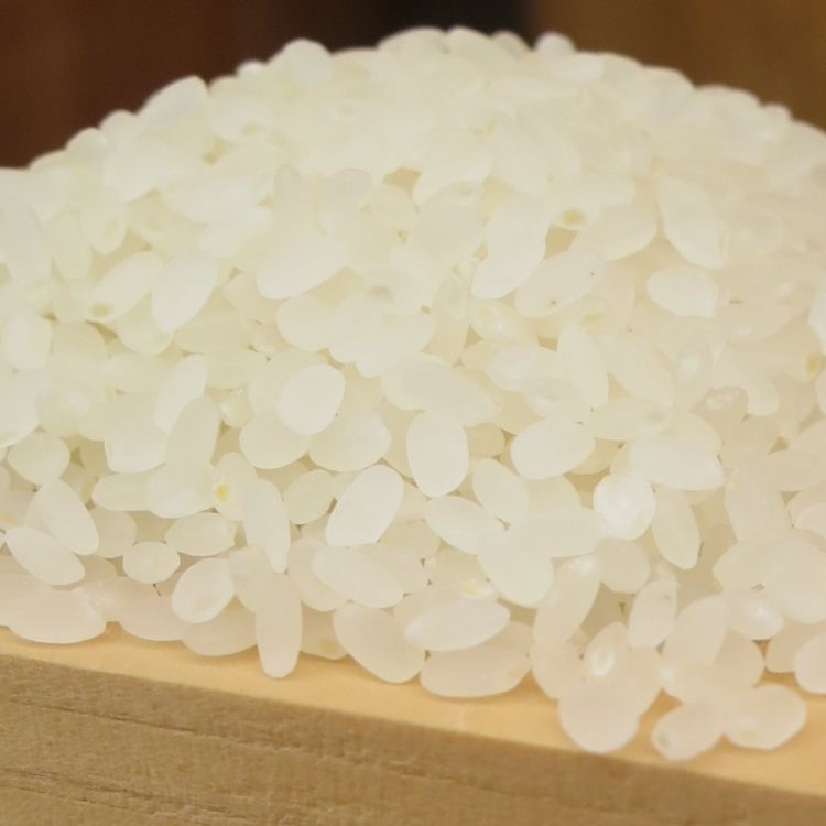 gạo yamada nishiki