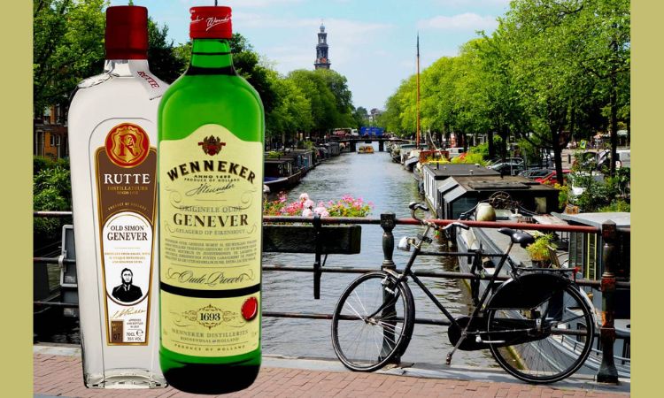 genever tổ tiên rượu gin