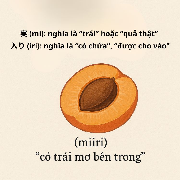 giải mã tên gọi miiri