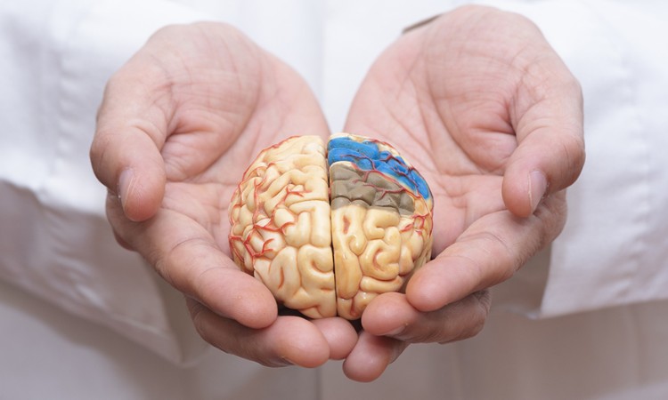 giảm nguy cơ bệnh alzheimer