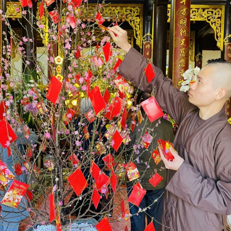 hái lộc đầu năm