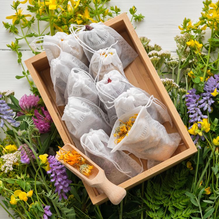 hộp trà thảo mộc