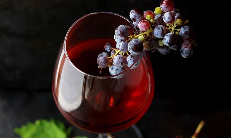 hương vị nho merlot