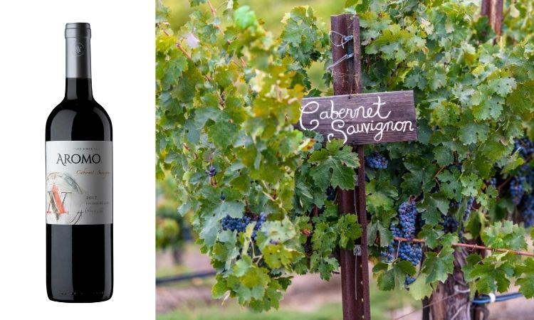 hương vị vang đỏ nho cabernet sauvignon