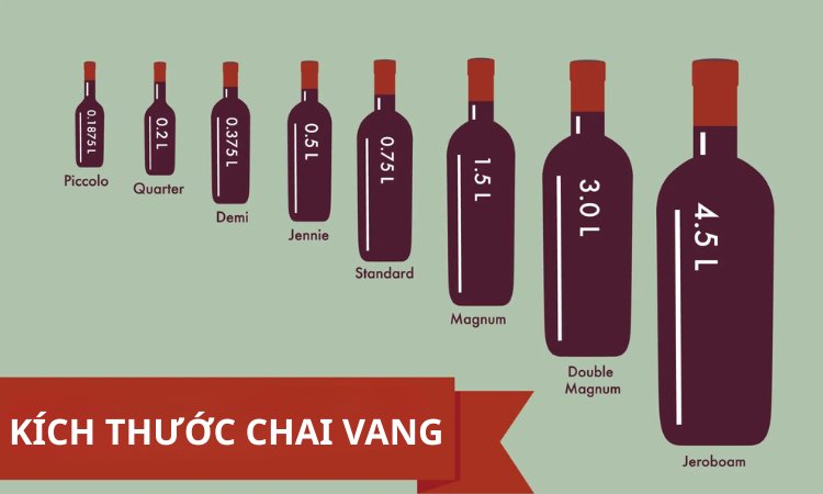 kích thước chai vang