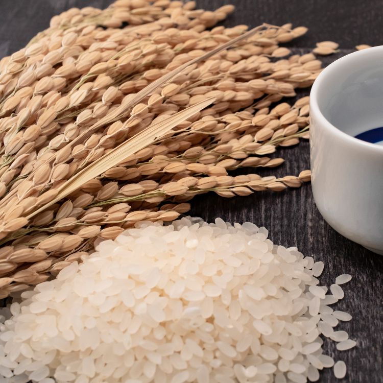 kích thước gạo sake